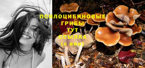 мяу мяу мука Белокуриха