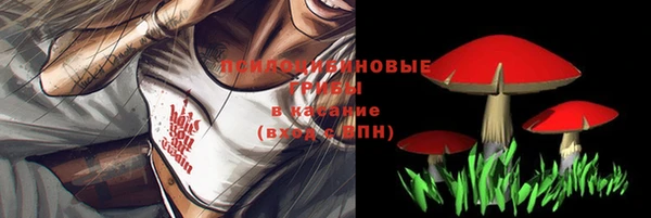 амфетамин Богородск