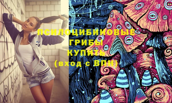 винт Богданович