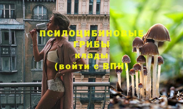 гашишное масло Беломорск