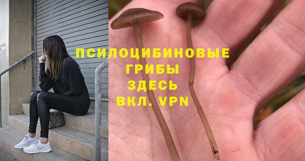 винт Богданович
